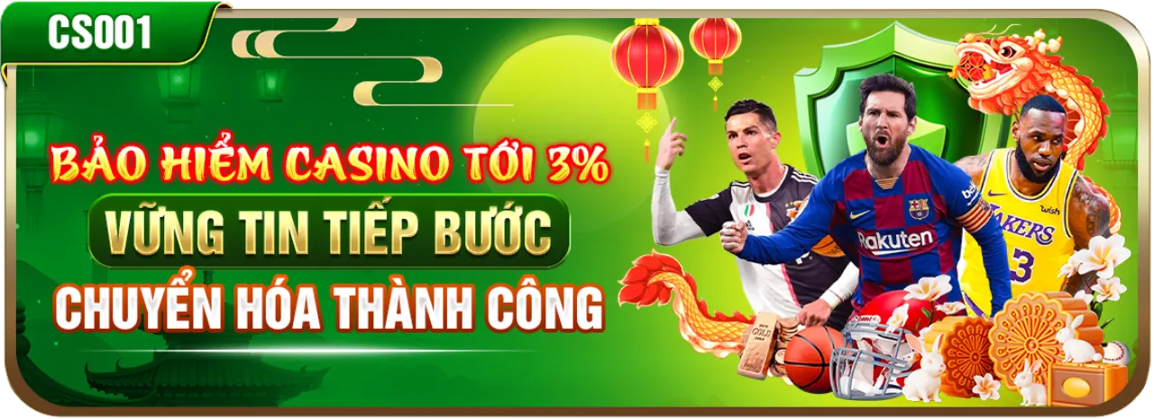 Hỗ trợ từ các tổ chức chuyên nghiệp